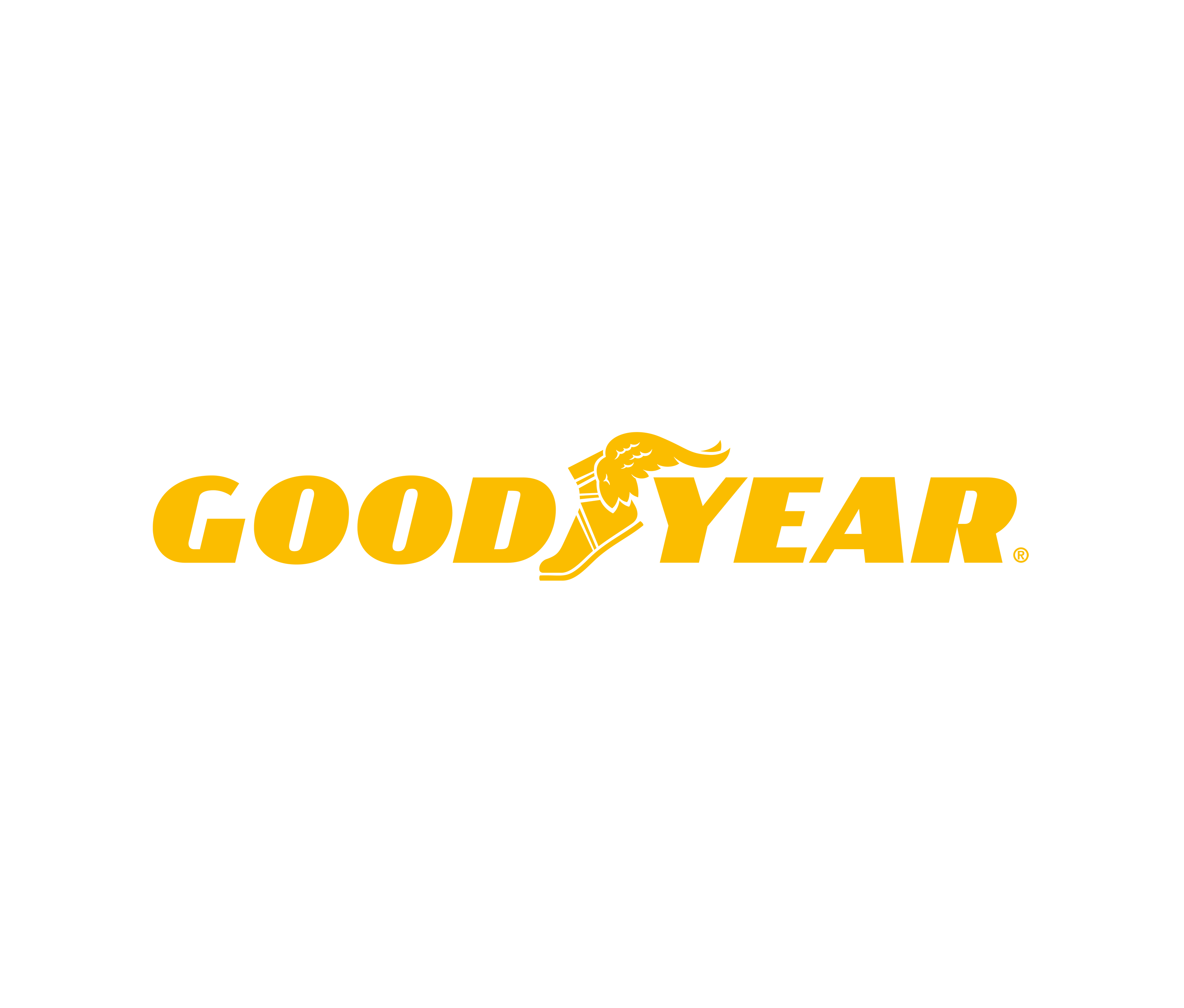 Goodyear tyre brand